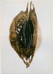 Willi Frommberger - Früchte / Kapseln - geschlossene Form, 2000
